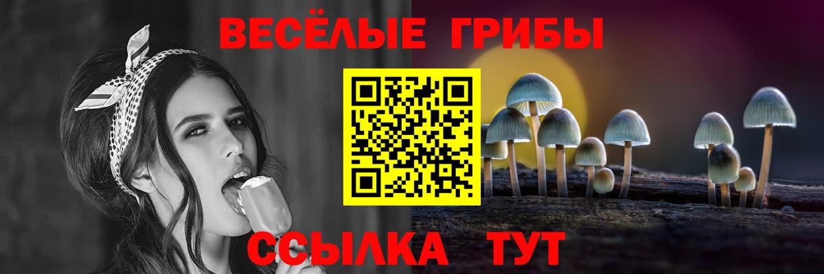 Прокопьевск  Псилоцибиновые грибы Magic Shrooms  Вход с VPN  купить наркотики цена  Псилоцибиновые грибы мухоморы 